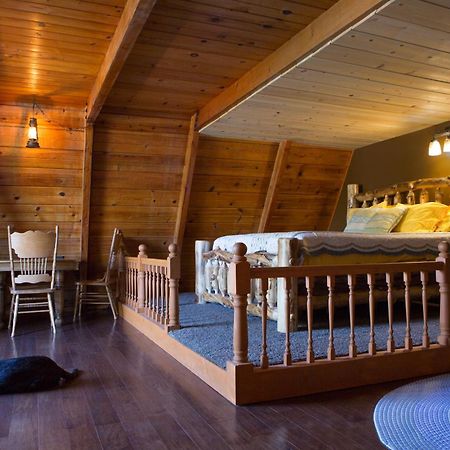 Hicksville Pines Chalets & Motel آيديلوايل المظهر الخارجي الصورة